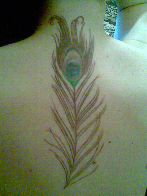 Then fill it with color but if you ever look at a peacock feather it is 